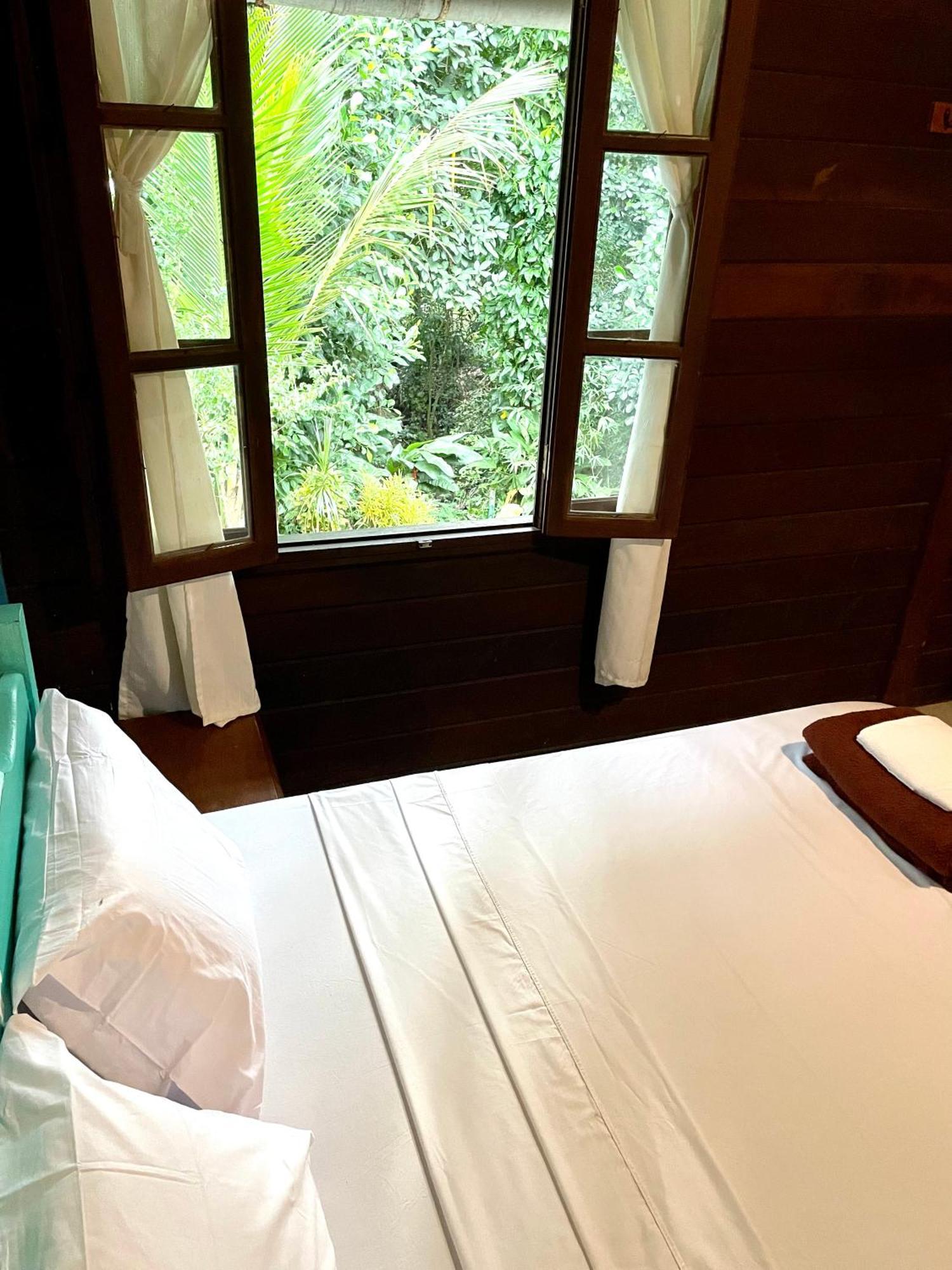 Casa Selva - Vila Do Abraao - Ilha Grande Eksteriør billede